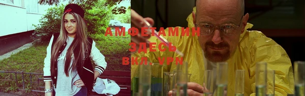 твердый Алексин