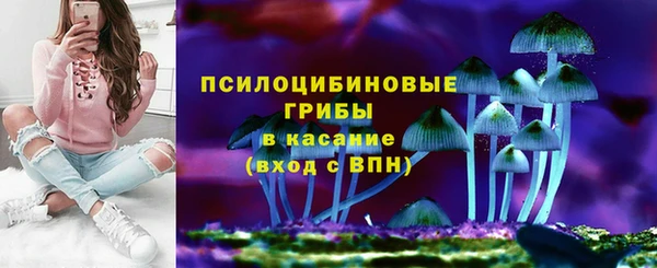 твердый Алексин
