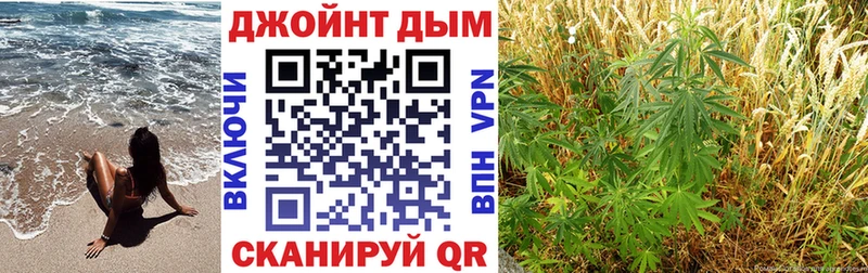 Бошки Шишки план  купить наркотик  Ясный 